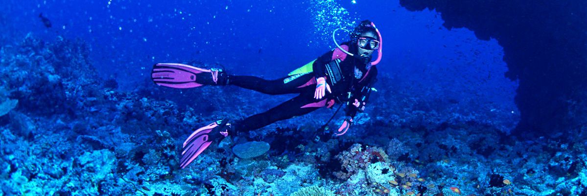 St. Lucia Financial Services - Fortgate