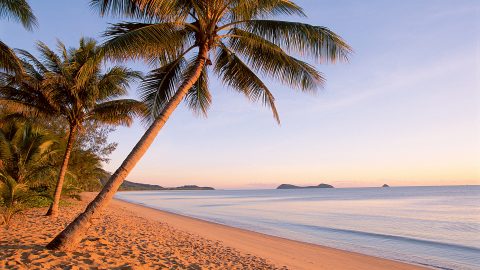 Bank License Applications- Let’s Build a Bank in Saint Lucia!